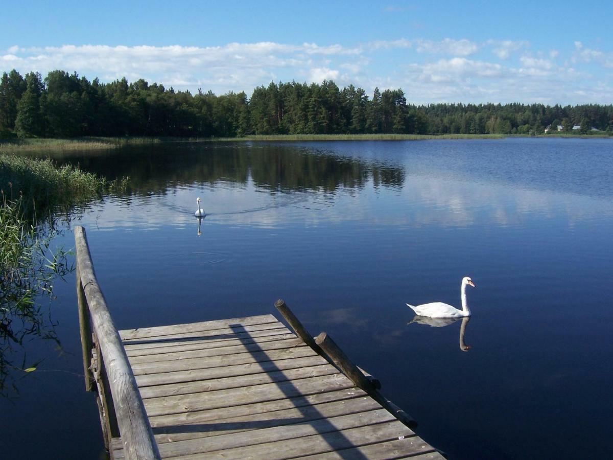 Domwigierski: Lakeside Comfort Farm with Private Beach and Sauna Wysoki Most  Exterior photo